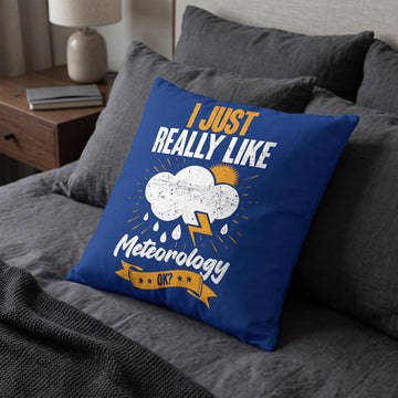 Linen Meteorology Quote Pillow